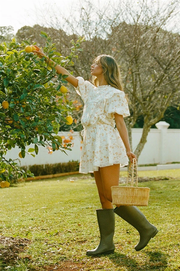 Avelina Dress (Petite) 7 Avelina Dress (Petite) - Image 5