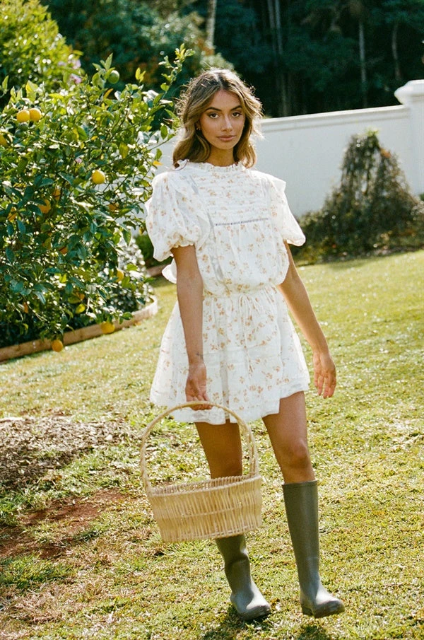 Avelina Dress (Petite) 6 Avelina Dress (Petite) - Image 4