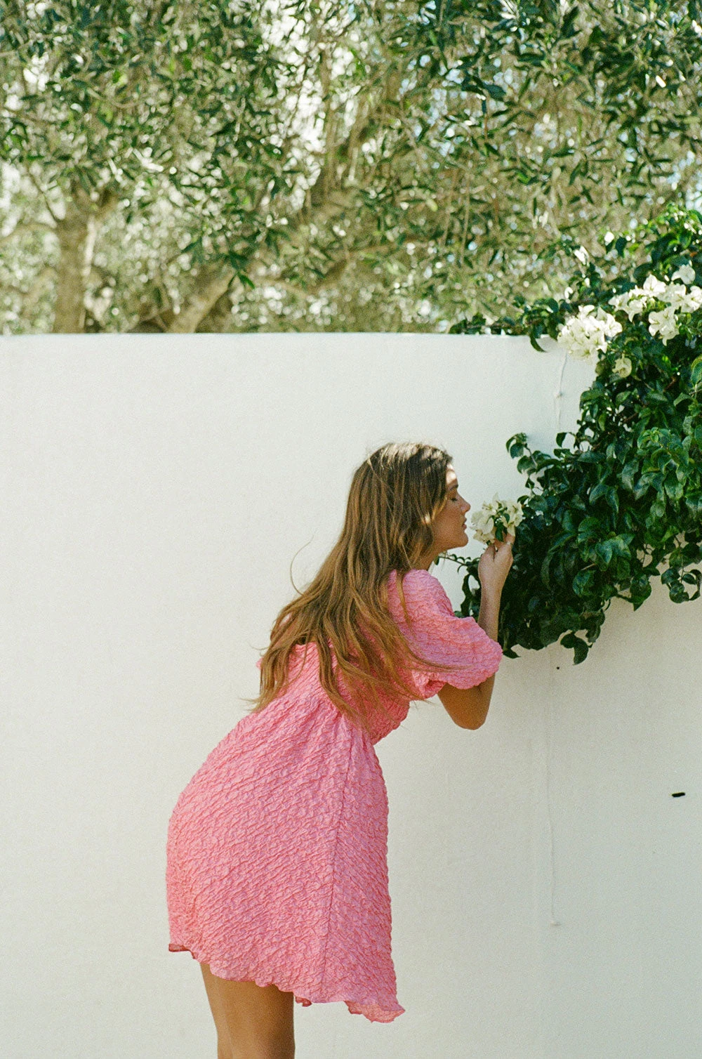 Vellona Dress 7 Vellona Dress - Image 5