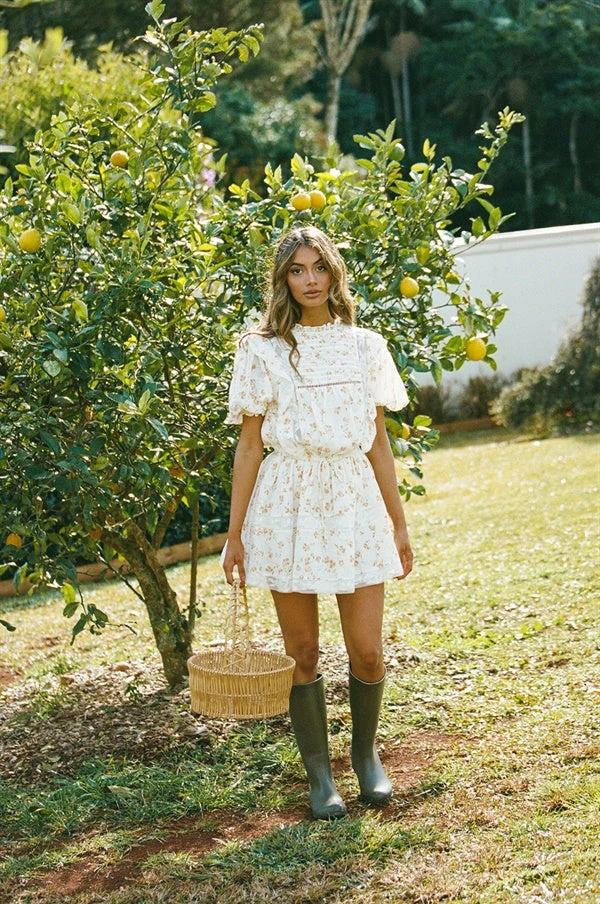 Avelina Dress (Petite) 8 Avelina Dress (Petite) - Image 6