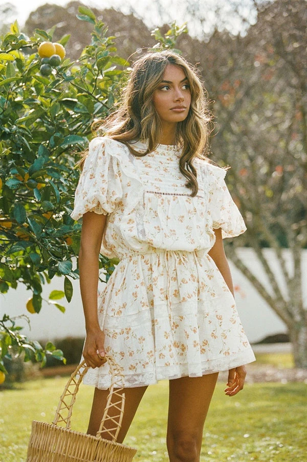 Avelina Dress (Petite) 3 Avelina Dress (Petite)